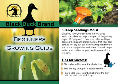 Set of 40 Heirloom Vegetable Garden Seeds - Heirloom Vegetable Garden Seeds - 100% Non-Gmo! - May Be Assorted