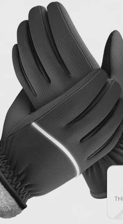 gloves
